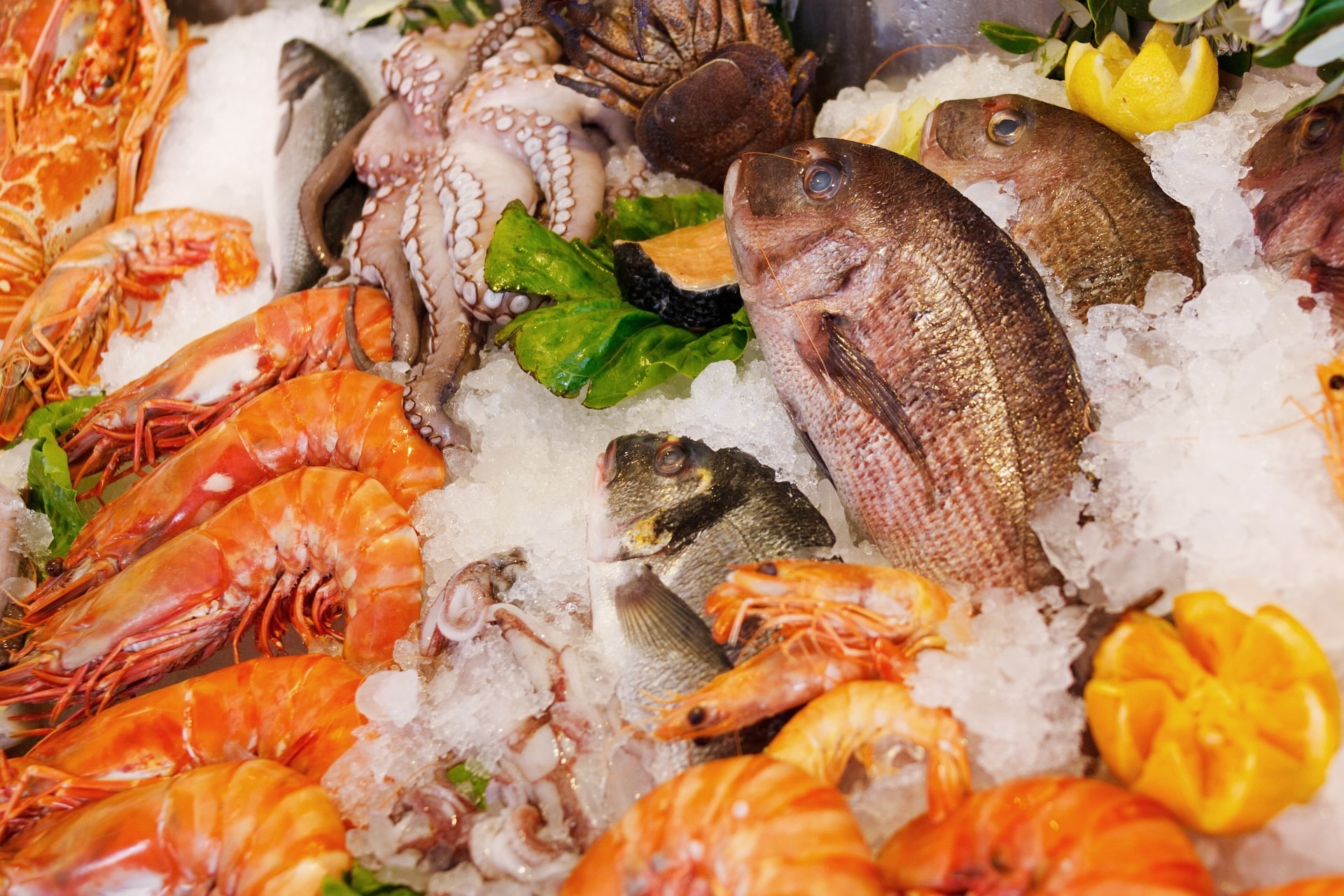 seafood-165220_1920.jpg